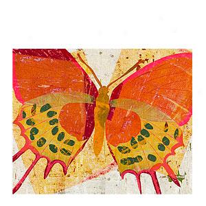 Paper Butterfly 1 Wrapped Canvas Print