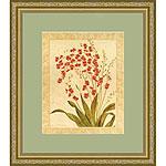 Red Begonias Framed Art Print By Gloria Eriksen
