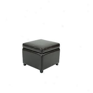 Safavieh Jonathan Brown Leather Storage Ottoman