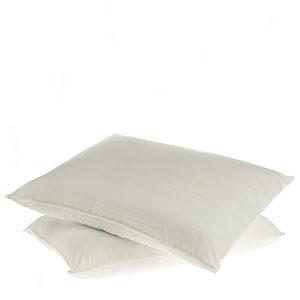 Set Of 2 Sensorpedic Memory Loft Pillows