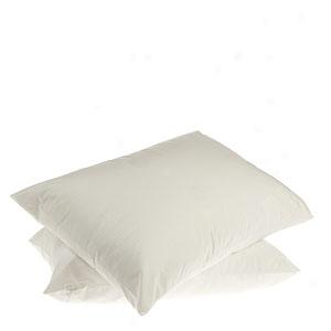 Swt Of 2 Sleep Cool Pillows