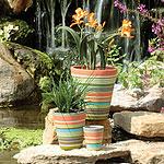 Set Of 3 Striped Ceramic Garden Planters