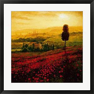 Shades Of Poppies Framed Print