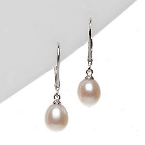 Silver Drop Earrings