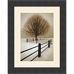 Solitude Framed Art Print By David Lorenz Winston