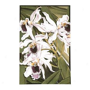 The Rug Market Whiite Orchids Tibetan Wool Rug