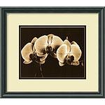 Three Orchid Blooms Framed Art Print By Alan Majch