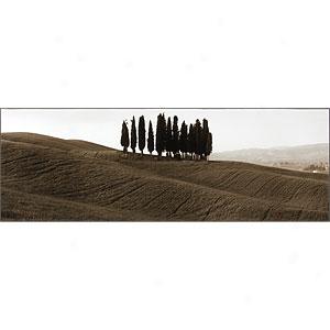 Toscana I Panoramic Print