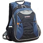 Traveler's Choice Pacsports Laptop Backpack
