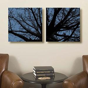 Twilight Trees Set Of 2 16x16 Canvas Prints