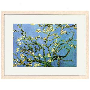 Van Gogh Branches With Almond Blossoms Print