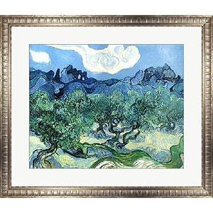 Van Gogh The Olive Trees 1889 Framed Print