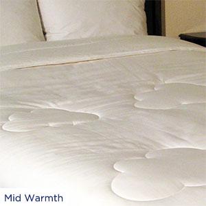 Whitte 100% Cotton Cloud Comforter