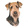 Airedale Dog Breed Products