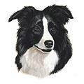 Put a ~ upon Collie Dog Breed Products