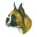 Boxer Dog Breed Products