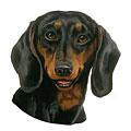 Dachshund Dog Breed Profucts