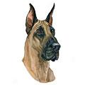 Great Dane Dog Breed Products
