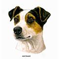 Jack Russell Dog Breed Products