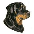 Rottweiler Dog Breed Products