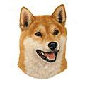 Shiba Inu Dog Breed Products