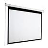 Accuscreen 119-inch Ntsc Electric Projector Screen