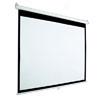 Accuscreen 84-inch Ntsc Manual Projector Screen