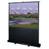 Deluxe Insta-theater 60-inch Projection Screen