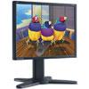 Vp930b 19-inch Lcd Monitor