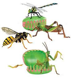 4d Insect Puzzles, Set Of 4