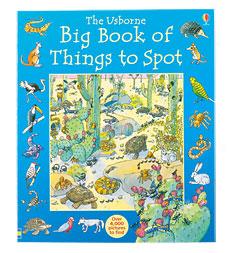 Big Book Of Thhings To Spot