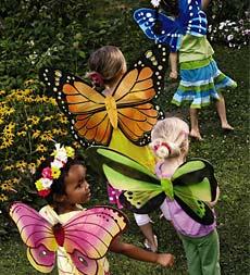 Butterfly Wings 4-packsave $9.94 On The Set!