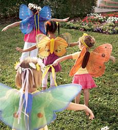 Butterfly Wingsluna Moth Oblybuy 2 Or More At $9.98 Reaped ground