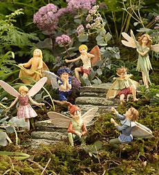 Flower Fairies, Set Of 4