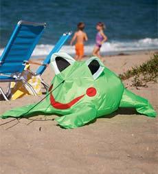 Frog Bouncing Beach Buddy