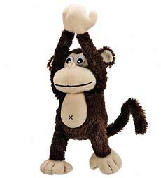 Funny Buddy Monkey