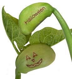 Happy Halloween Beans