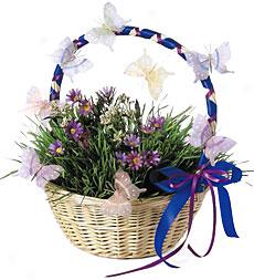 Living Grass Easter Basket