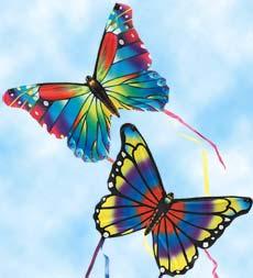 Mini Butterfly Kites, Set Of 2