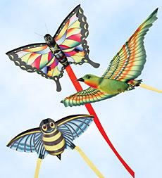 Mini Kite-hummingbird