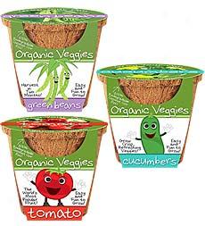 Organic Veggies Seed Kit, Set Of 3