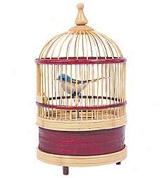 Singing Bird Cage Music Box