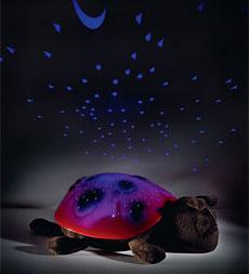 Twilight Ladybug