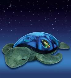 Twilight Sea Turtle